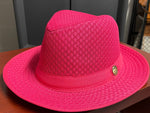 Load image into Gallery viewer, Hot Pink Large Brim Mesh Fedora Dazzled By B
